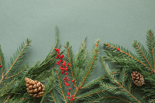 Overhead view of an arrangement of fir branches, berries and pinecones on a green background