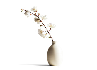 vase with beautiful white flowers, png file of isolated cutout object with shadow on transparent background. © Аrtranq