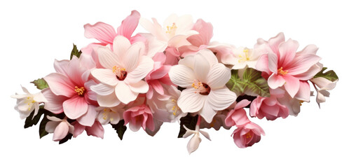 bush of delicate light pink flowers, png file of isolated cutout object with shadow on transparent background.