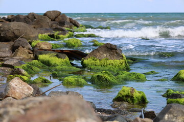 rocks in the sea