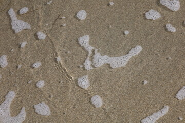 footprint on sand. texture of sand, background