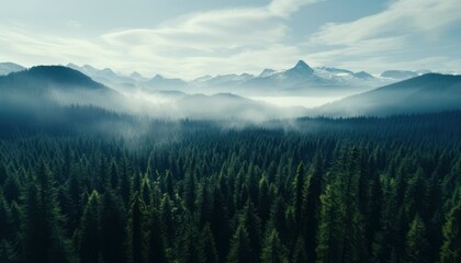 landscape with fog. Generative AI