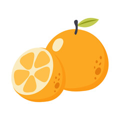Vector orange fruit branch. Hand drawn illustration of citrus fruit and green leaves