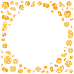 Vector orange fruits frame. Hand drawn illustration of border with citrus slices and branches