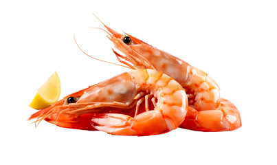 shrimp isolated on transperent background