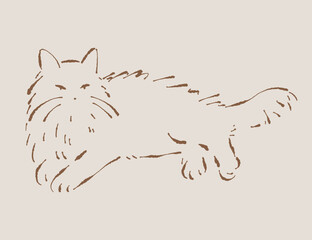 Lying fluffy cat illustration. Hand drawn vector. Cat in relaxed pose