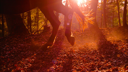 SILHOUETTE, LENS FLARE, CLOSE UP: Rustling autumn leaves behind a trotting horse