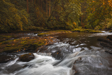 Cascading creek flows through autumn woodland forest