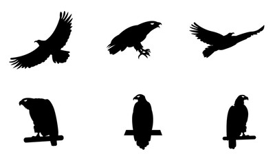 eagle silhouetts