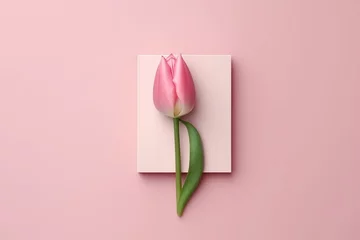 Foto op Canvas Minimalist design with a pink tulip and the number 8, ideal for a spring greeting card celebrating Women's Day. Generative AI © Oliver