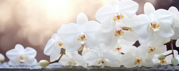 Magnified image of an Easter cross covered in delicate white orchids, symbolizing purity and the resurrection of Christ.