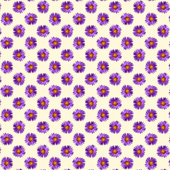 quadrat gefüllt mit vielen diagonal angeordneten violetten blüten mit schmalen ovalen...