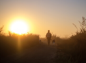 Fototapeta premium looking into the sun at a woman walking a medium sized dog on a boardwalk through an estuary at dawn in the winter season