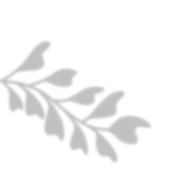 Leaves Shadow Overlay