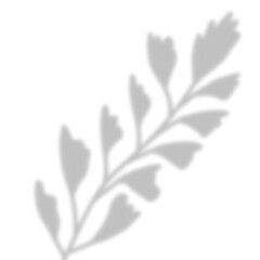 Leaves Shadow Overlay