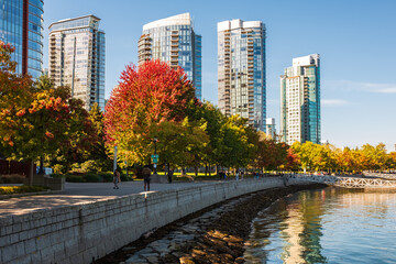Downtown Vancouver modern Coal Harbor business district area high office and apartment buildings. Autumn Colors alone the Sea Walk in Stanley Park Vancouver BC Canada. Travel photo, street view - obrazy, fototapety, plakaty