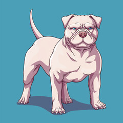 Dog american bully pitbull white

