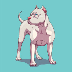 Dog american bully pitbull white
