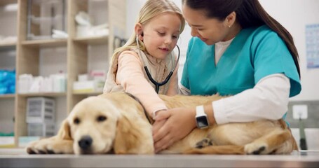 Dog, stethoscope for healthcare and vet with a girl pet owner at an animal hospital for a checkup or appointment. Doctor, veterinarian or professional with a female child and puppy at the clinic