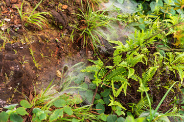 spider web on the grass. Selective focus. High quality photo
