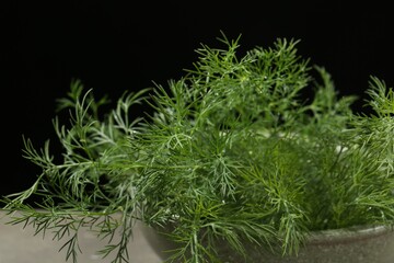 Fresh green dill in bowl on table, closeup