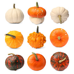 Set of different pumpkins isolated on white