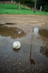 水溜まりに落ちた野球ボール