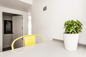 A gray stone countertop table of a kitchen with white tiles and plain white walls with a yellow chair and a flowerpot with basil