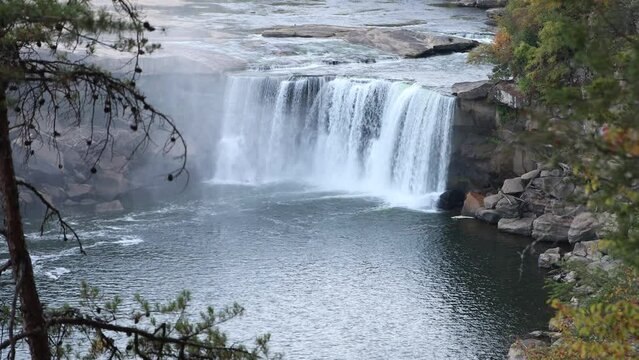 Waterfall in Forest