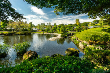 Garden Pond