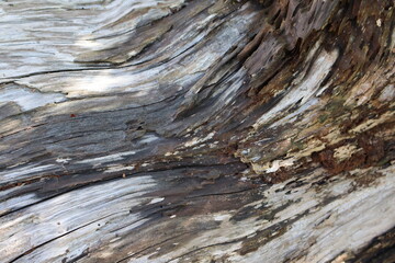 October 10, 2023: Eastern Taiwan