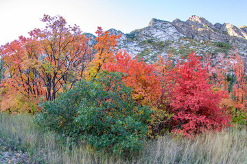 Autumn in the Rocky mountains