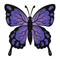 butterfly insect purple