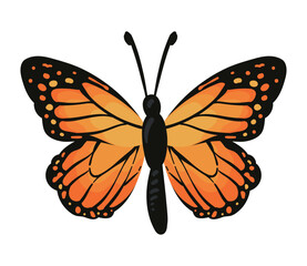 butterfly monarca illustration
