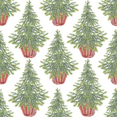 Seamless pattern with watercolor green christmas tree on white background. Forest evergreen fir or pine for sticker or card. Hand-drawn art for new year celebration invite or wrapping or wallpaper