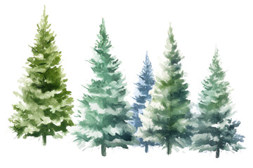 watercolor snowy forest illustration, Christmas fir trees, winter nature, conifer, holiday background, rural landscape, outdoor plants, isolated on white background