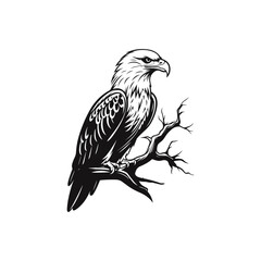 Wildlife Eagle Logo design template