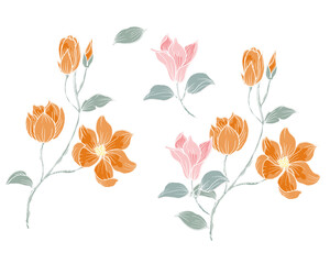 Hand Drawn Vintage Magnolia Flower