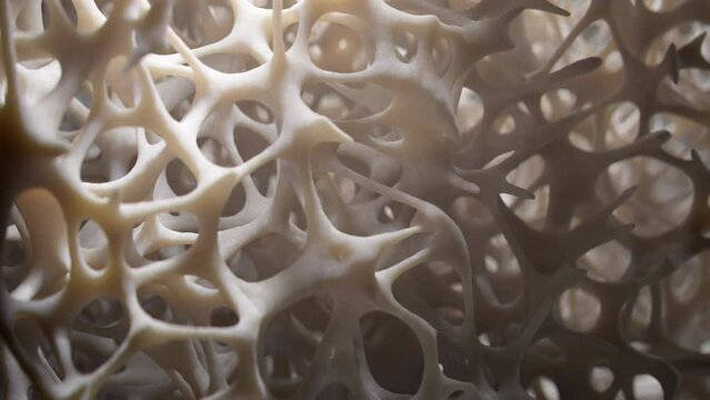Human bone tissue growing slowly, 3d animation