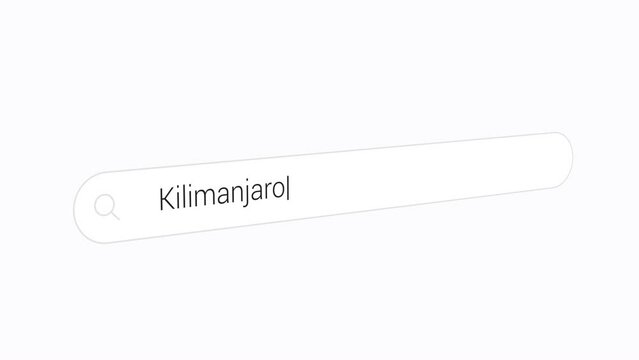 Searching Kilimanjaro on the Search Engine