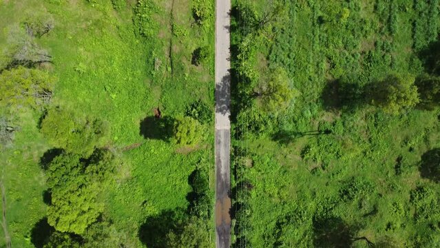Aerial Top Down View Road and Surrounding Green Landscape in Baju Kidul, Indonesia.