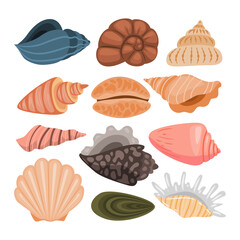 Set of Seashell or Sea Shell Isolated Element Objects. Beach Aquatic Marine Ocean Animal Shellfish. Flat Style Icon Vector Illustration