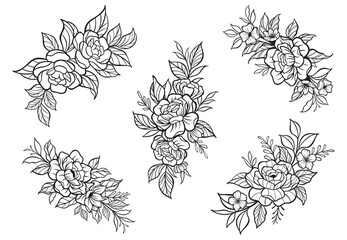 Trendy botanical elements, Hand drawn line leaves branches and blooming