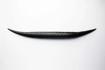Foto op Canvas isolated black snake tail on white background. Generative AI © Emily
