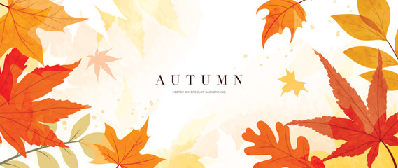 Autumn foliage in watercolor vector background. Abstract wallpaper design with maple leaves, oak leaf, line art. Elegant botanical in fall season illustration suitable for fabric, prints, cover. - obrazy, fototapety, plakaty