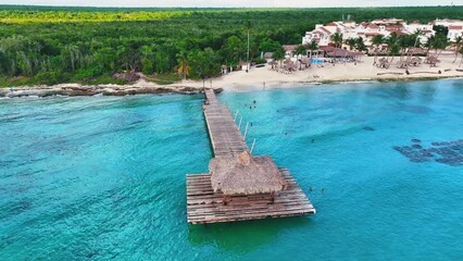 Summer landscape of the resort palm beach from a bird's eye view. Wildlife of the sea peninsula. Dominican sea coast with sandy coast and palm grove. Aerial view of a pier in the ocean.