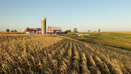 Aerial view of the Midwest USA in autumn. Rural landscape, countryside. Farmland, Agriculture field - Powered by Adobe