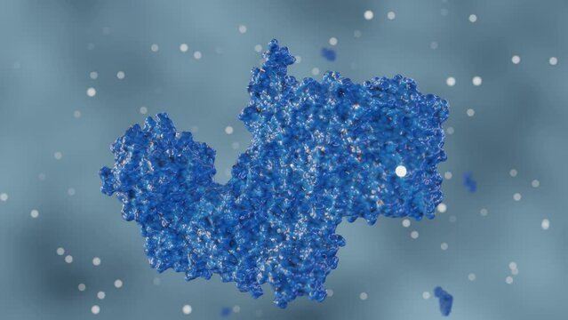 Botulinum toxin, or botulinum neurotoxin, is a neurotoxic protein produced by the bacterium Clostridium botulinum 3d rendering