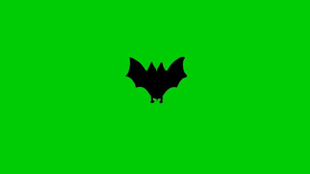 Scary flying bat animation for halloween
