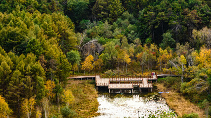 Fototapeta na wymiar The scenery of Jingyuetan National Forest Park in Changchun, China in early autumn